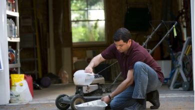 What To Do If German Roaches Have Infested Your Garage?