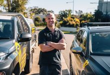 Common Pest Problems and Effective Pest Removal Solutions